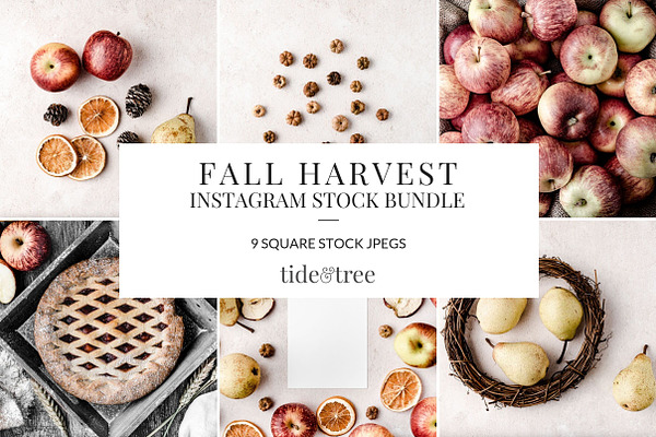 Fall Harvest Instagram Bundle