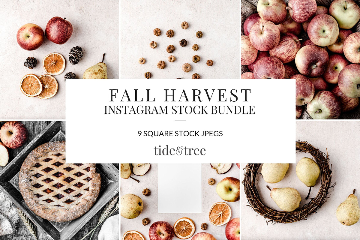 Fall Harvest Instagram Bundle in Instagram Templates - product preview 8
