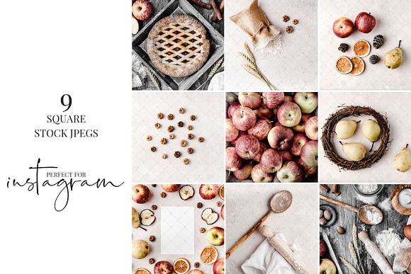 Fall Harvest Instagram Bundle in Instagram Templates - product preview 1