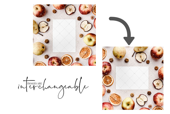 Fall Harvest Instagram Bundle in Instagram Templates - product preview 2