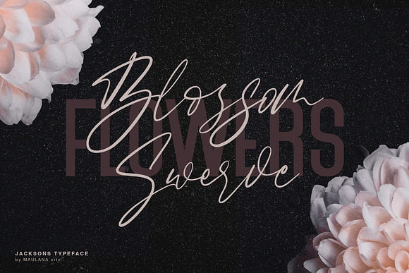 Jacksons Font Duo - Free Sans in Script Fonts - product preview 5