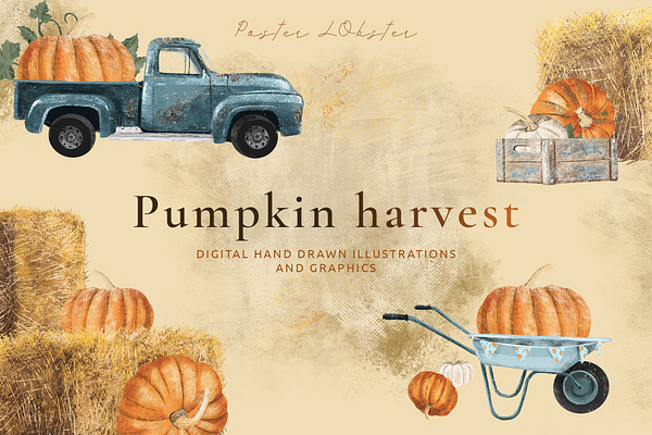 Pumpkin harvest illustration set