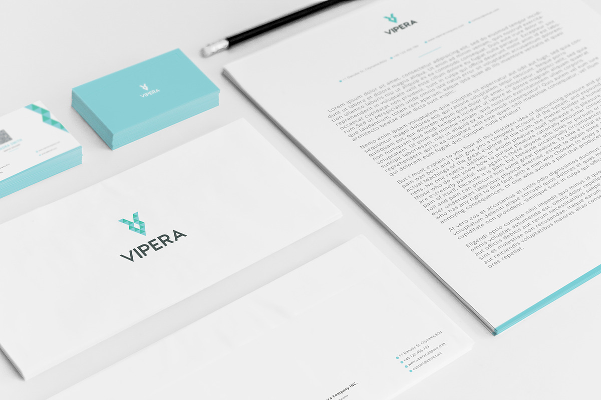 Vipera Brand Identity in Branding Mockups - product preview 8