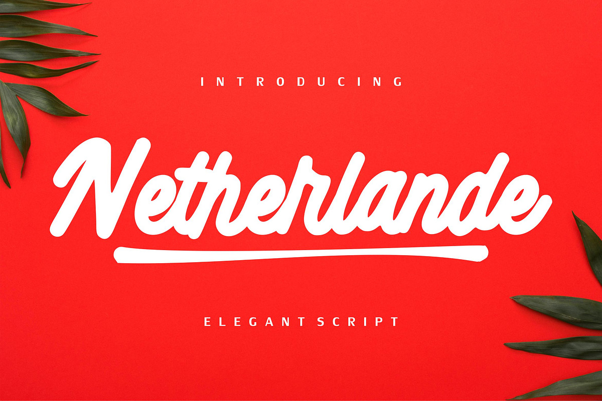 Netherlande - Elegant Script in Fonts - product preview 8