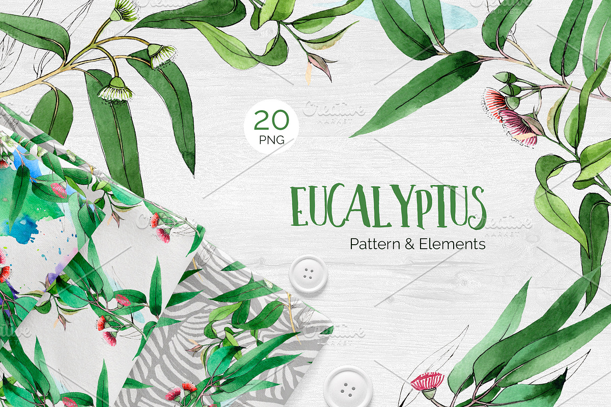 Eucalyptus branch Watercolor png in Illustrations - product preview 8