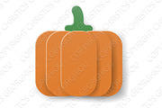 Pumpkin Cartoon Vegetable in