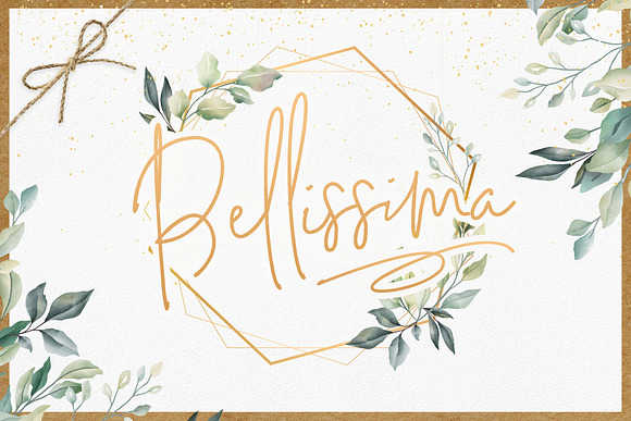 Bellissima Signature Script Font in Script Fonts - product preview 1
