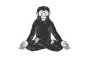 Chimpanzee monkey meditating sketch