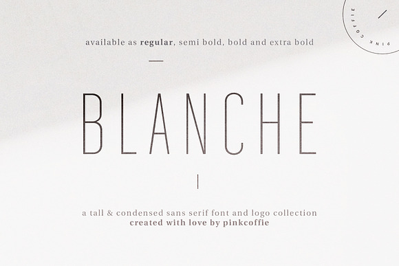 Blanche | Fonts & Premade Logo Pack in Sans-Serif Fonts - product preview 2