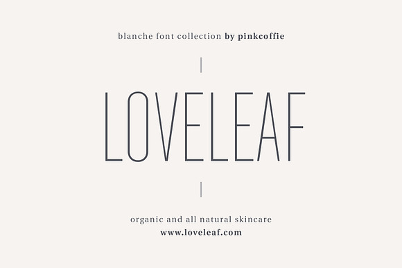 Blanche | Fonts & Premade Logo Pack in Sans-Serif Fonts - product preview 10