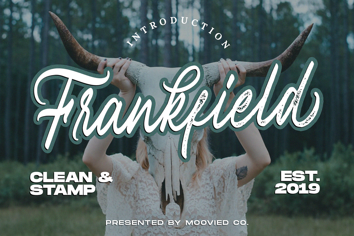 Frankfield Script + Stamp in Script Fonts - product preview 8