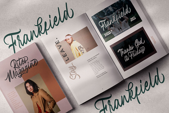 Frankfield Script + Stamp in Script Fonts - product preview 12