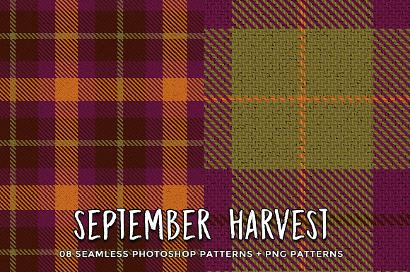 September Harvest in Patterns - product preview 4