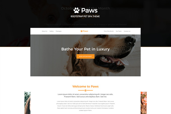 Paws - Bootstrap Pet Spa Theme