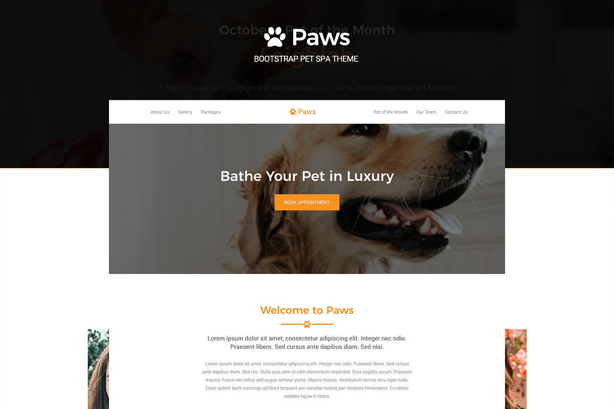 Paws - Bootstrap Pet Spa Theme in Bootstrap Themes - product preview 8