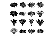 Detailed flower icons set