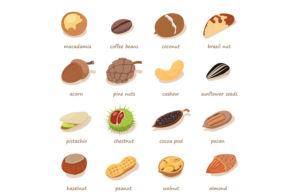 Nuts and seeds icons set in Illustrations - product preview 8