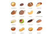 Nuts and seeds icons set