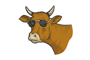 Cow animal in sunglasses sketch
