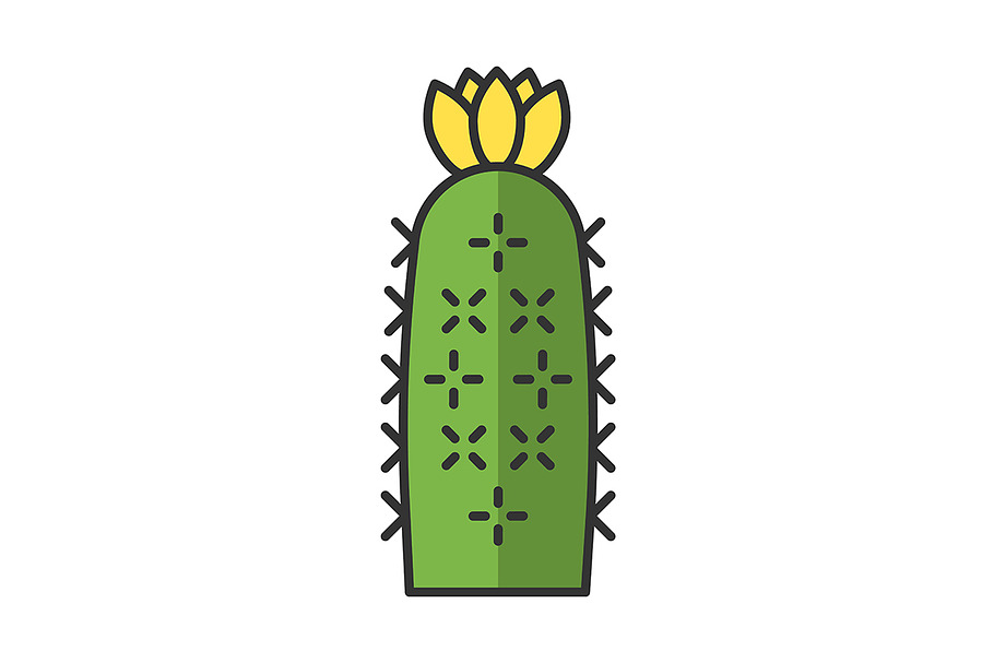 Hedgehog cactus color icon