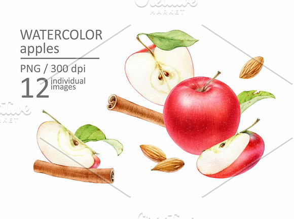 Watercolor apples in Illustrations - product preview 1