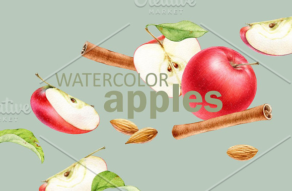 Watercolor apples in Illustrations - product preview 2