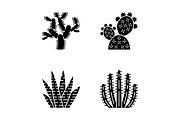 Wild cactus glyph icons set
