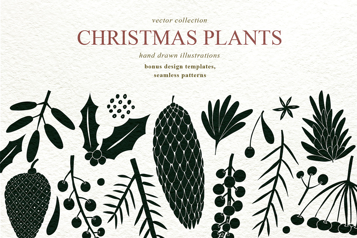 Christmas Plants Vector Collection in Illustrations - product preview 8