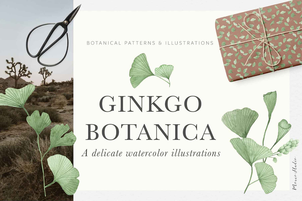 Ginkgo Botanica - Florals & Leaves in Illustrations - product preview 8