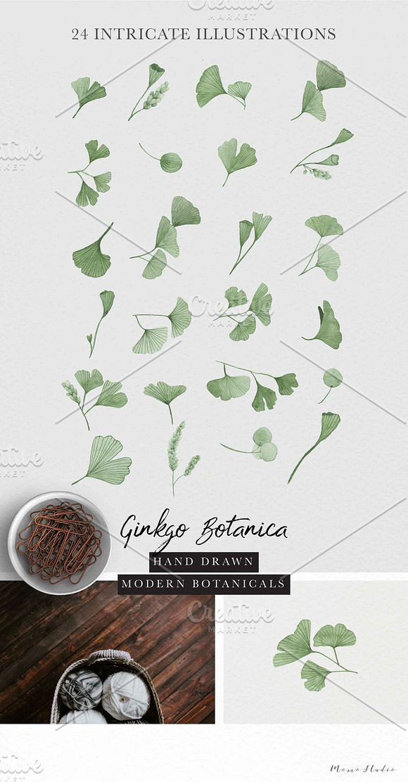 Ginkgo Botanica - Florals & Leaves in Illustrations - product preview 8