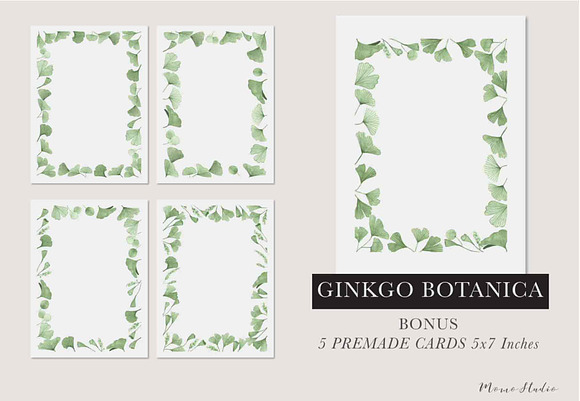 Ginkgo Botanica - Florals & Leaves in Illustrations - product preview 9