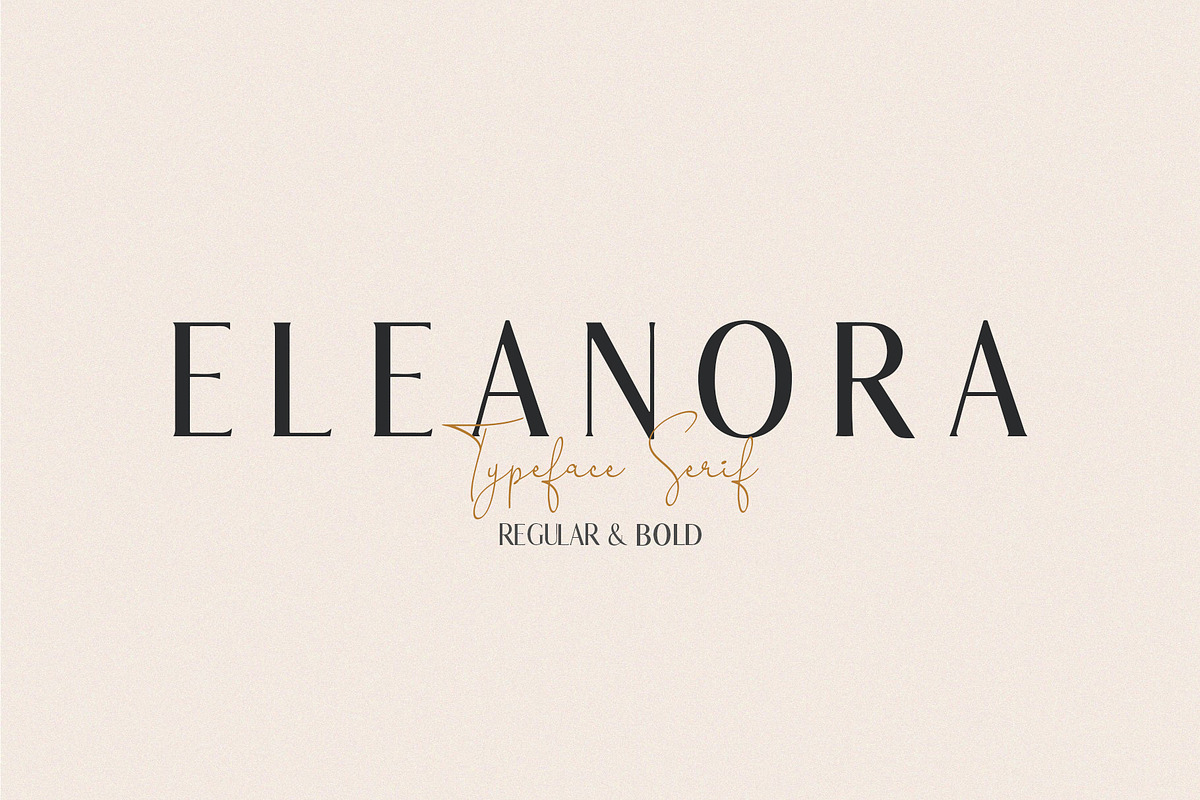 Eleanora - Modern Serif Font in Serif Fonts - product preview 8