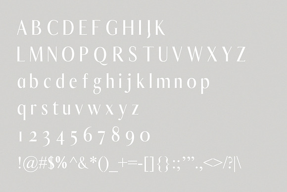 Eleanora - Modern Serif Font in Serif Fonts - product preview 5