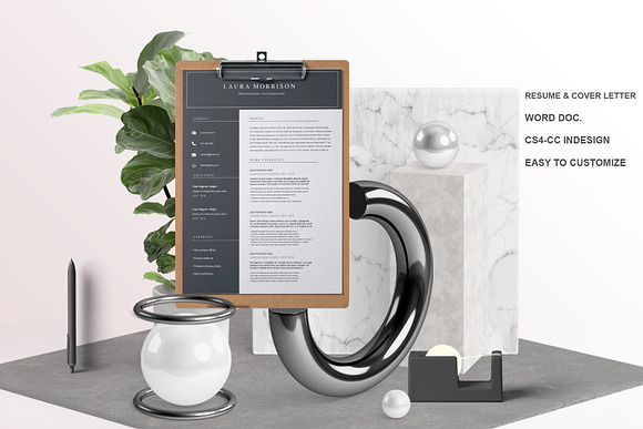 2 page Resume Template - LM in Letter Templates - product preview 2