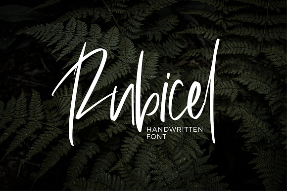 Rubicel in Script Fonts - product preview 4