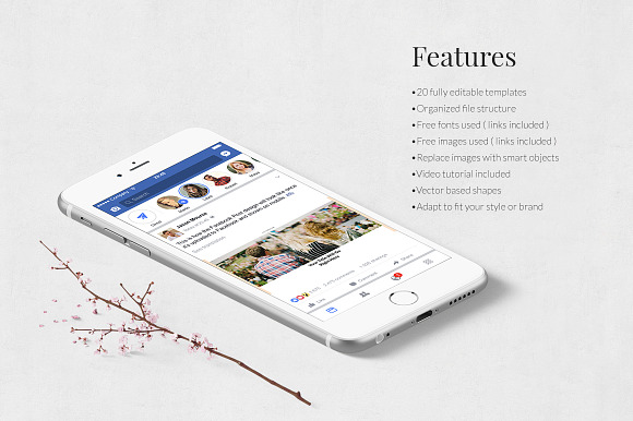 Events Facebook Posts in Facebook Templates - product preview 2