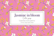 Jasmine Color Pop patterns