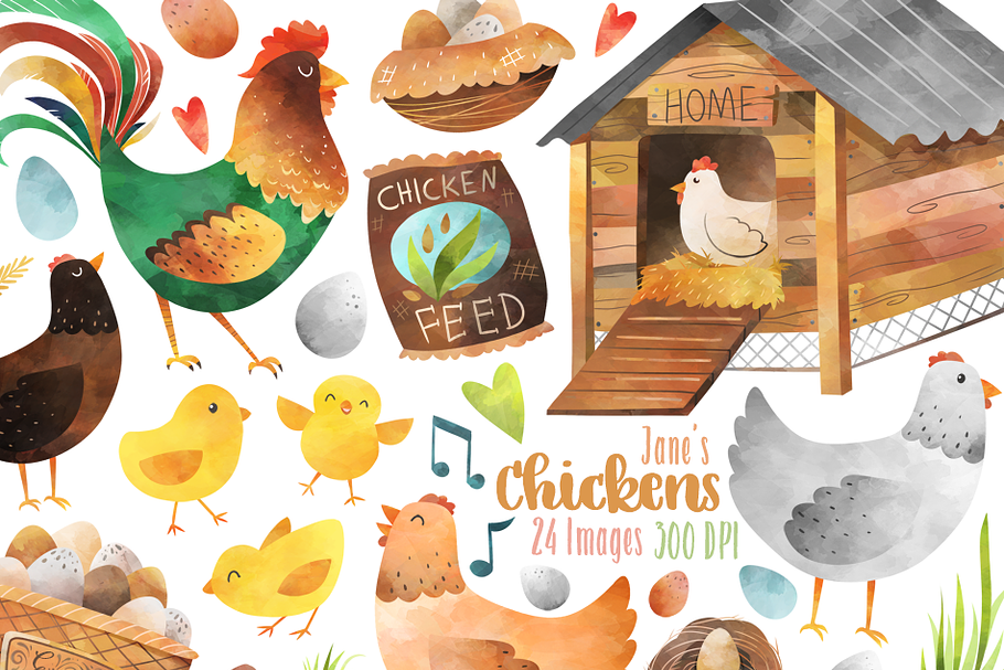 Watercolor Chickens Clipart in Illustrations - product preview 8