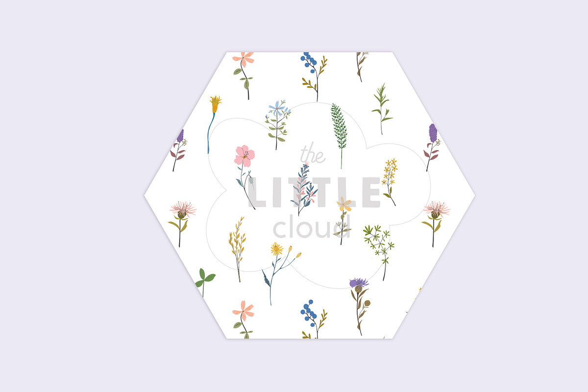 "Botanical Charts" seamless patterns in Patterns - product preview 8