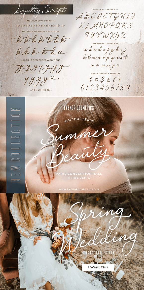 Loyalty Script Fonts in Script Fonts - product preview 5