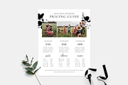 Price Guide Template PG033