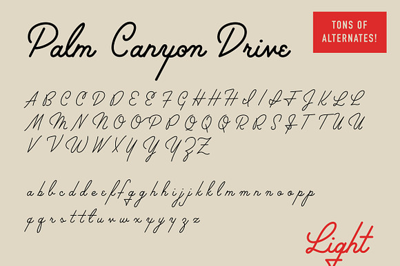 Palm Canyon Drive | Script & Glyphs in Retro Fonts - product preview 5