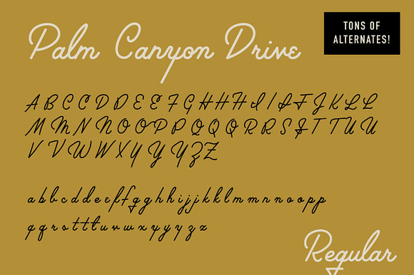 Palm Canyon Drive | Script & Glyphs in Retro Fonts - product preview 6