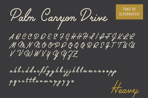 Palm Canyon Drive | Script & Glyphs in Retro Fonts - product preview 7