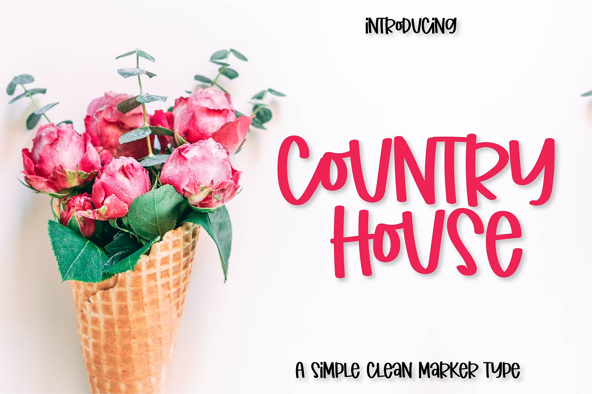 Country House - A Clean Marker Font in Display Fonts - product preview 8