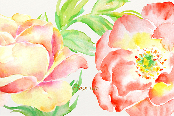 Watercolor Clip Art Orange Rose in Illustrations - product preview 3