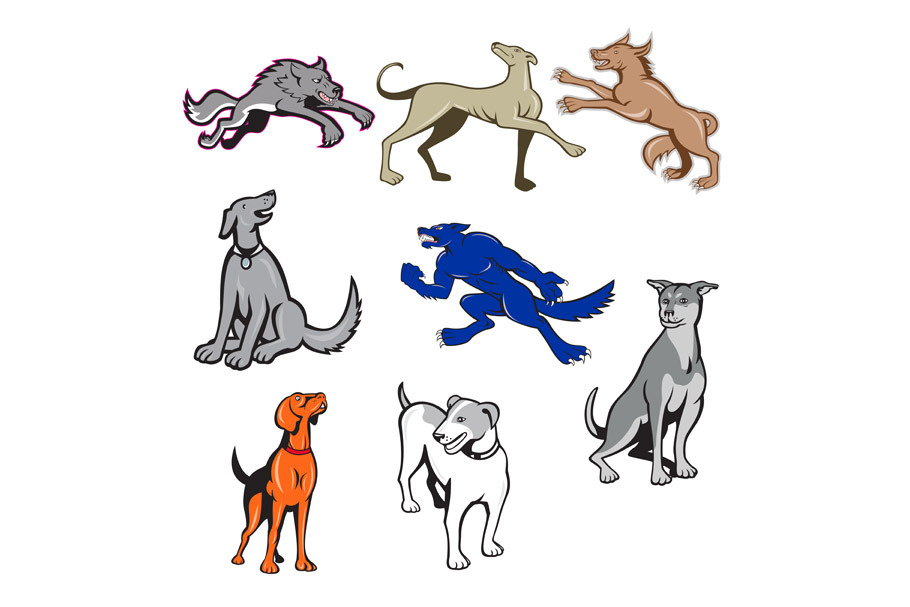Canine Cartoon Set