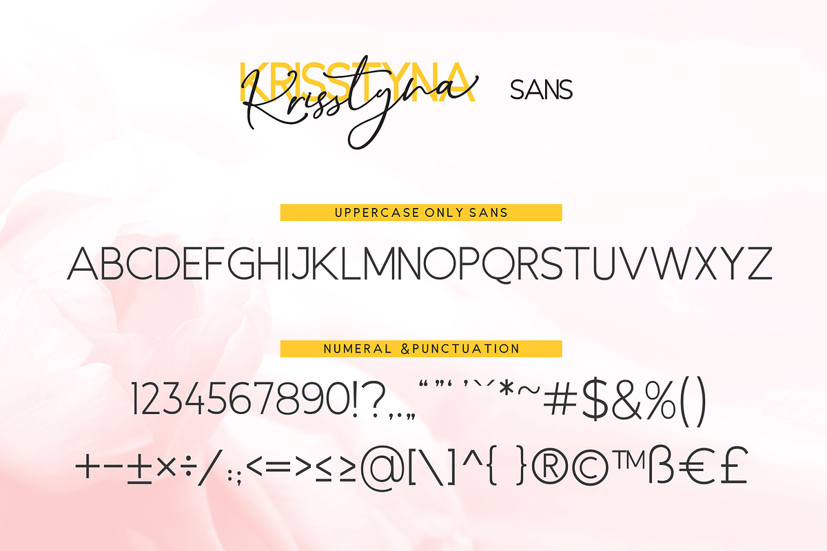 Krisstyna Font Duo in Script Fonts - product preview 9