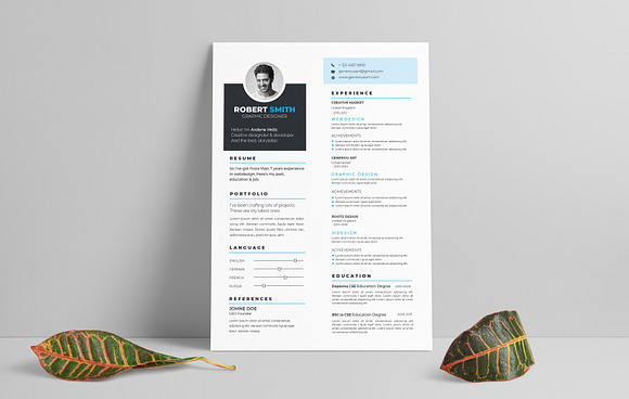 Resume Template in Letter Templates - product preview 1