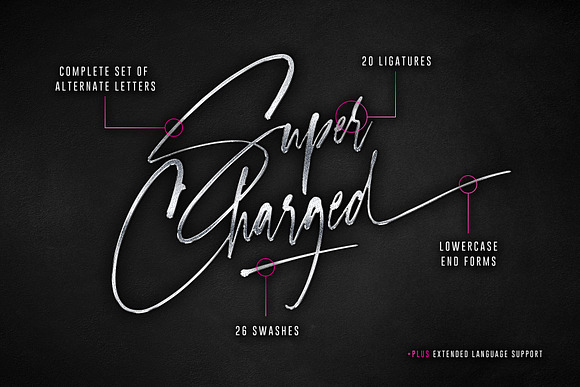 Checkpoint Signature Font in Script Fonts - product preview 6